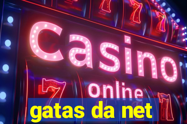 gatas da net